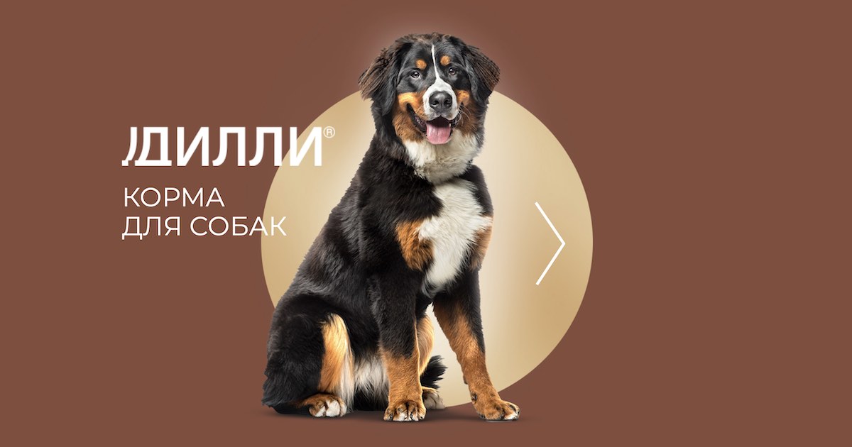 ДИЛЛИ CATLAND - корма для кошек и собак